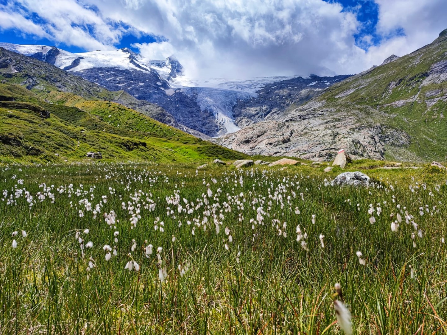 Pressereise der Nationalparks Austria!