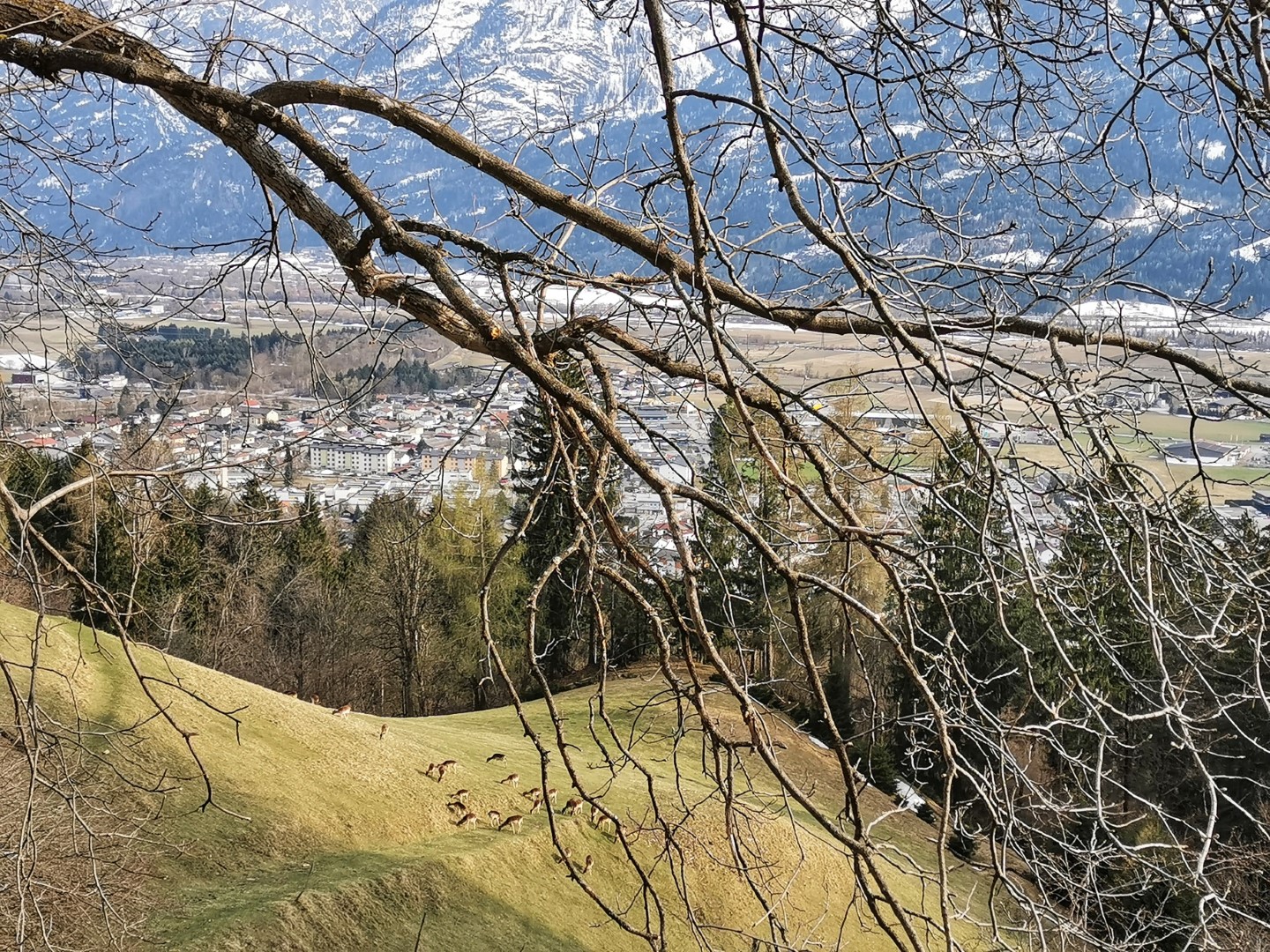 Lehrgang-Bergbaeuerlicher_Landschaftsvermittler_Basismodul_03.jpg