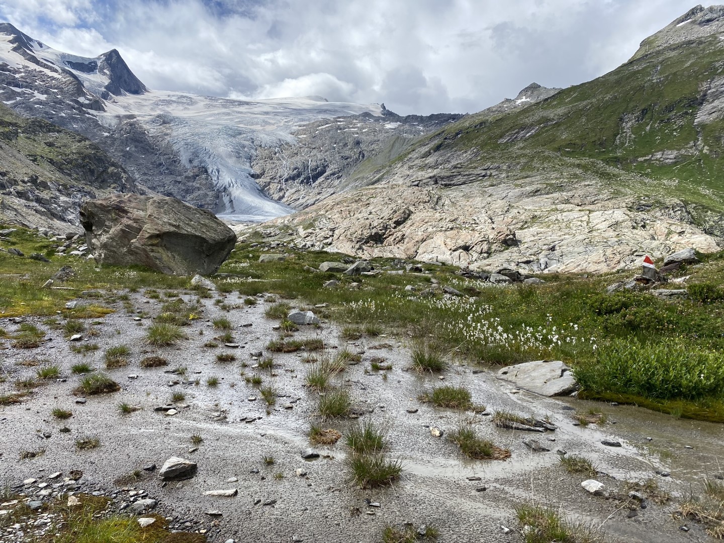 Vegetationskartierung auf ausgewaehlten Flaechen des Nationalparks Hohe Tauern Bild 03 1