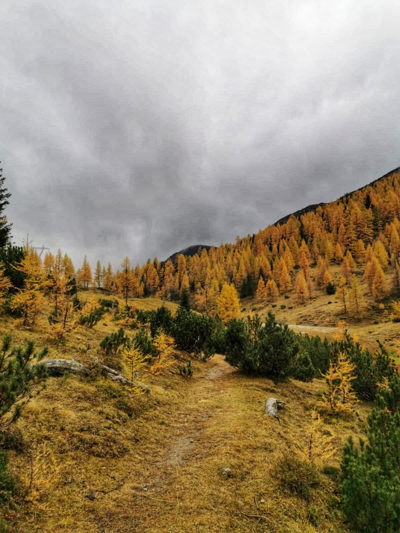 Wanderung am Bergpilgerweg Hoch und Heilig WhatsApp Image 2019 10 22 at 16.01.29 2 