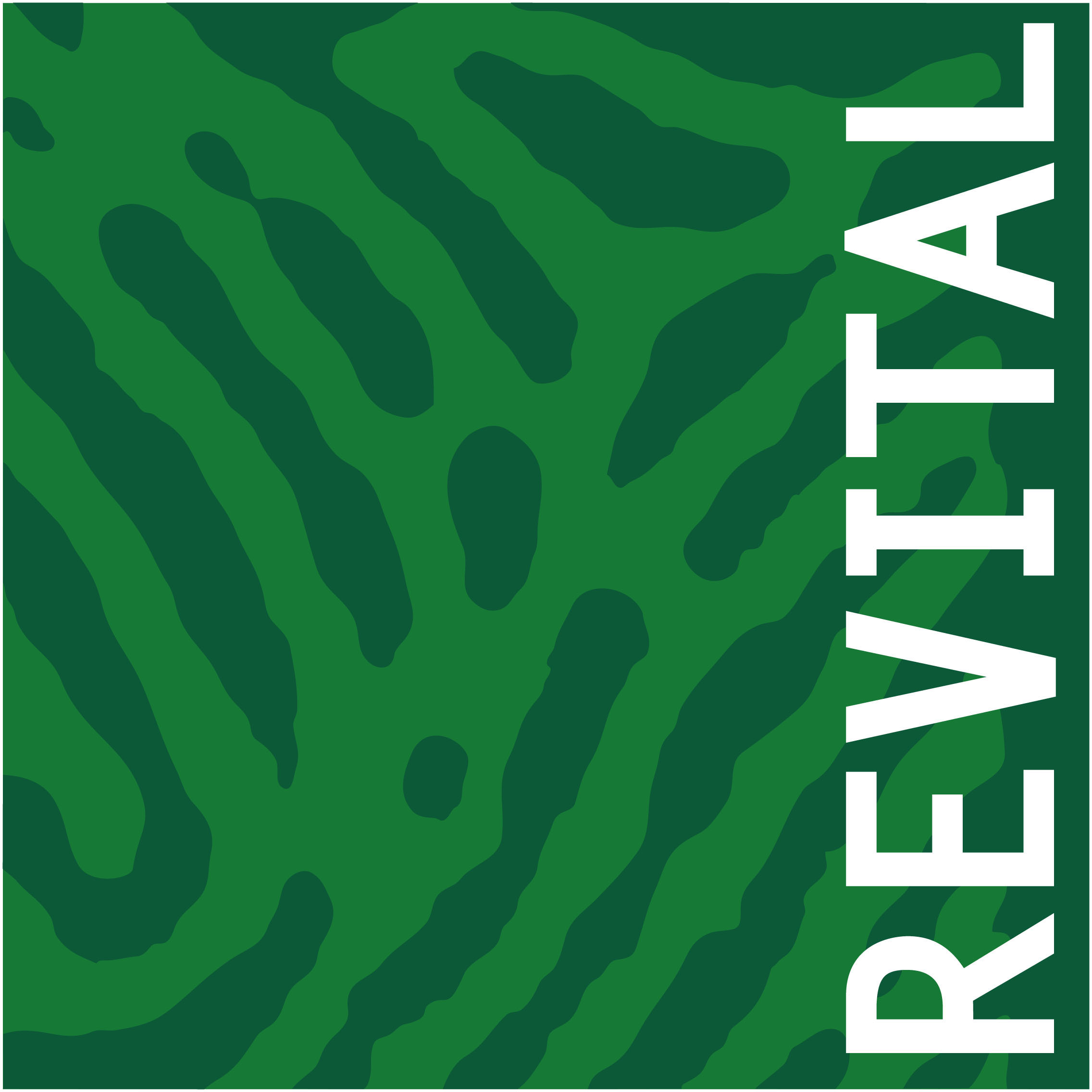 REVITAL 2007