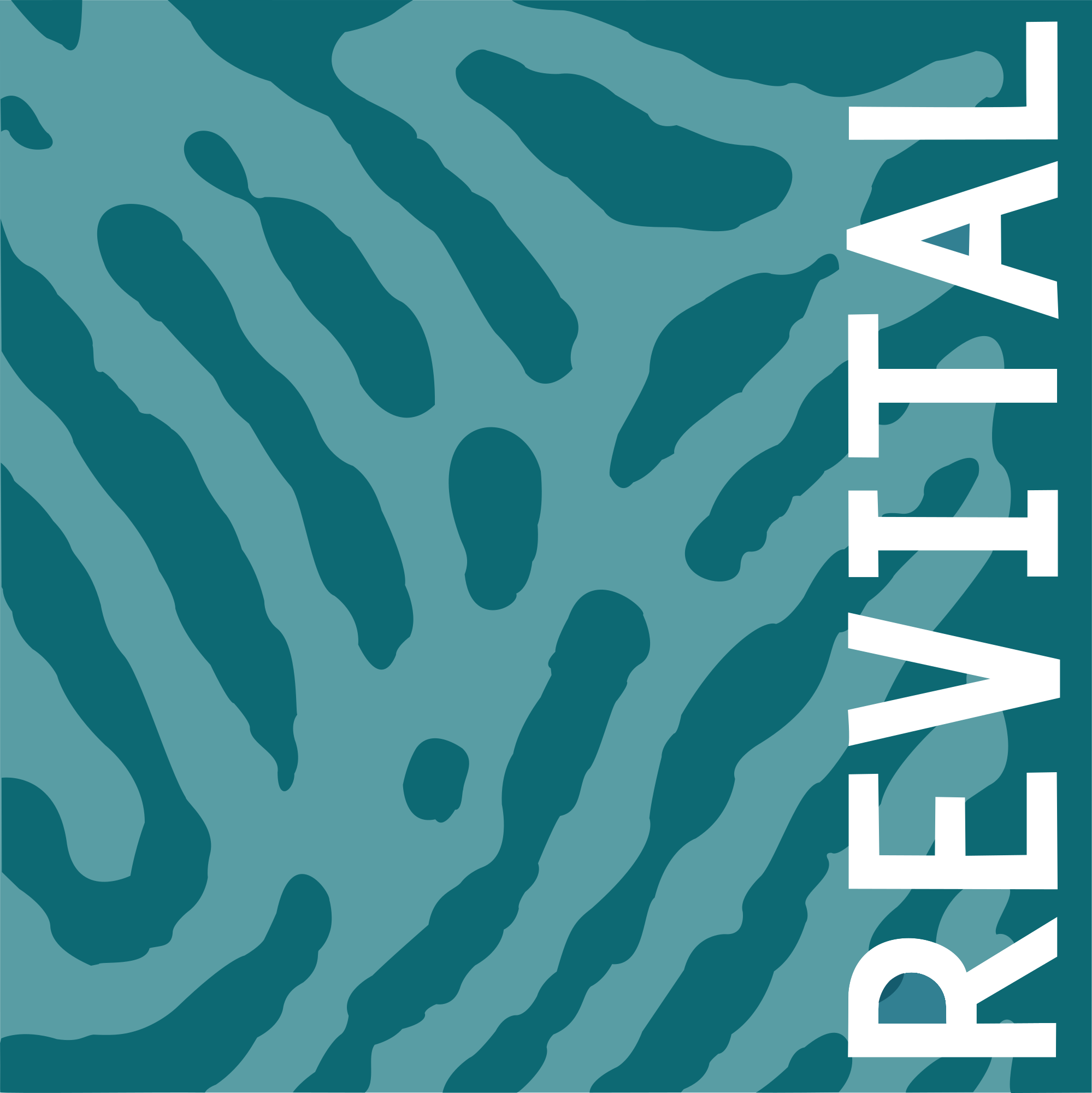 REVITAL 2015 intern RGB