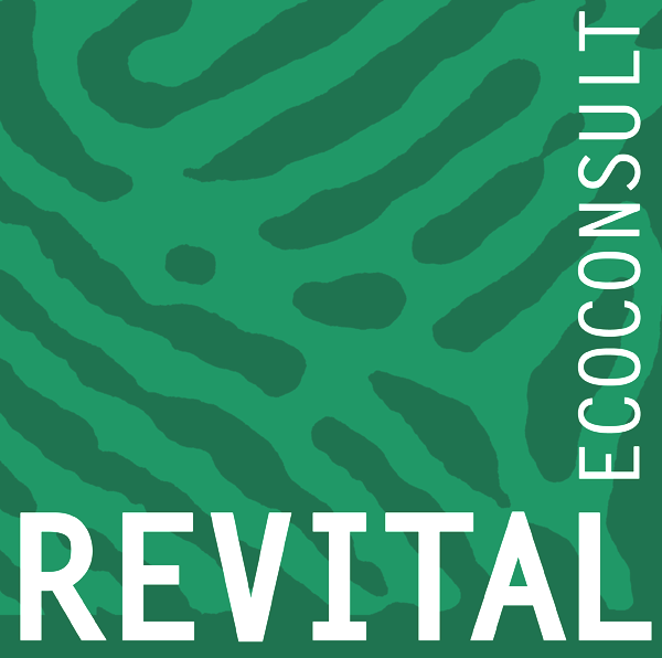 REVitAL2001